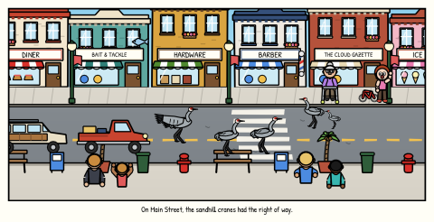 Sandhill cranes stroll down the middle of Main Street, one with its wings out, while a pickup truck waits behind them, past the diner, the bait and tackle shop, the hardware store, the barber, and the town paper, with an old lady at her walker, a kid by his bike, and people watching from the curb. Caption: On Main Street, the sandhill cranes had the right of way.